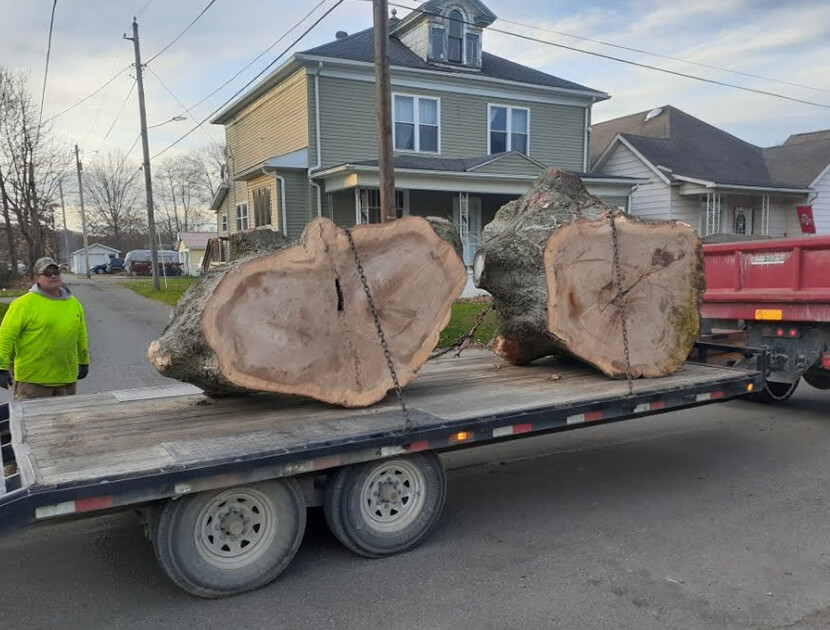 tree-service-company-lancaster-ohio